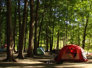 Camping at Powell River, British Columbia Canada