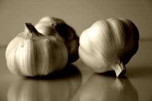 Garlic is an Insect Repellant