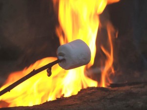 Roasting a Marshmallow over Campfire