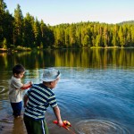 5 Tips for Camping With Kids
