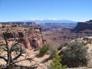 Hiking Las Vegas: Leave the Buffets and Blackjack and Head for the Hills!