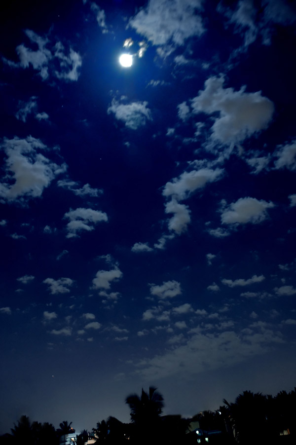 The Moonlight Hike