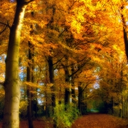 Autumn Camping Tips Thumbnail