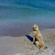 A Camping Misadventure: The Perfect Failures Thumbnail