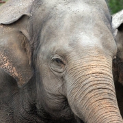 Camping Taman Negara Endau-Rompin, Malaysia Thumbnail