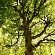 Camping National Parks in USA Thumbnail