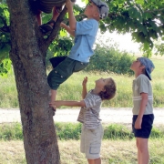 Camping With Kids: Touring the USA Thumbnail