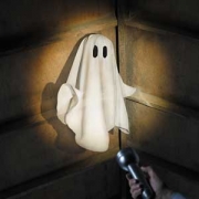 Ghost Stories for Camping Thumbnail