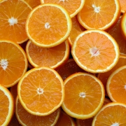 Essential Camping Tips to Ensure a Better Trip Thumbnail