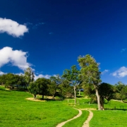 New Zealand by Campervan Thumbnail