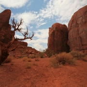 On the USA Border Thumbnail