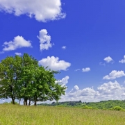 Poem: Summer’s Coming Thumbnail