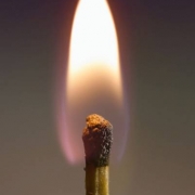 Camping Matches and Alternatives Thumbnail