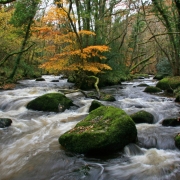 Poem: Camping is the Life for Me Thumbnail