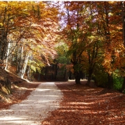 Camping in Romania: Don’t Forget the Camping Essentials Thumbnail
