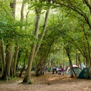 WOWO Campsite Puts the “Wow” Back in Camping Thumbnail