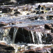 By a Babbling Brook Thumbnail