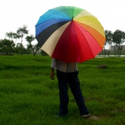 In The Rain Thumbnail