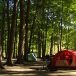 Camping at Powell River, British Columbia