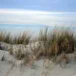 Camping at Shell Island, Wales