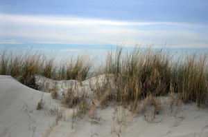 Camping at Shell Island