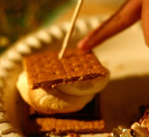 How to Make a S'more