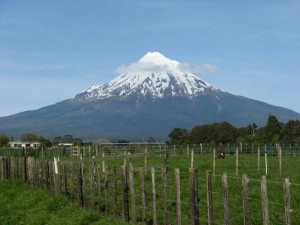 New Zealand Kiwi Experience