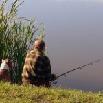 Camping at the Bay of Fundy: A Series of Unfortunate Events