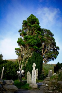 Walking the Wicklow Way Trail in Ireland