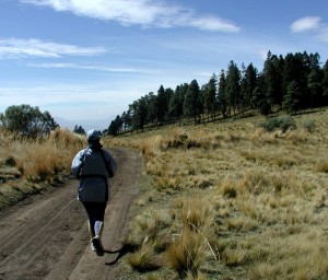 Trail Jogging