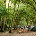 WOWO Campsite Puts the “Wow” Back in Camping