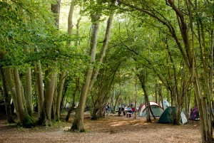 WOWO Campsite Puts the "Wow" Back in Camping