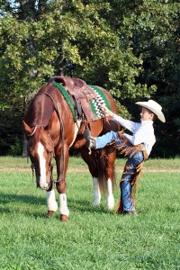 How to go Horse Camping – What You Should Know