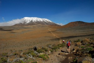 How to Climb Kilimanjaro