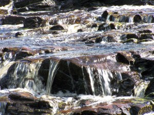 By a Babbling Brook